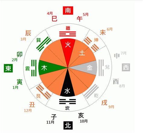 楊柳木命|八字納音五行解析——楊柳木